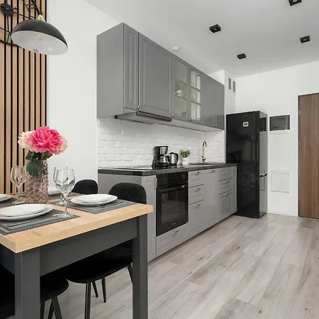 Apartman Comfortable For 4 Guests With Terrace, Garden And Projector By Renters *